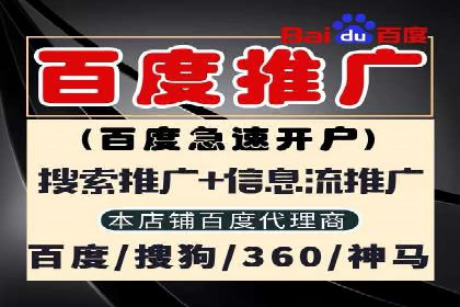 探索SEM竞价专员的技能要求与成功案例